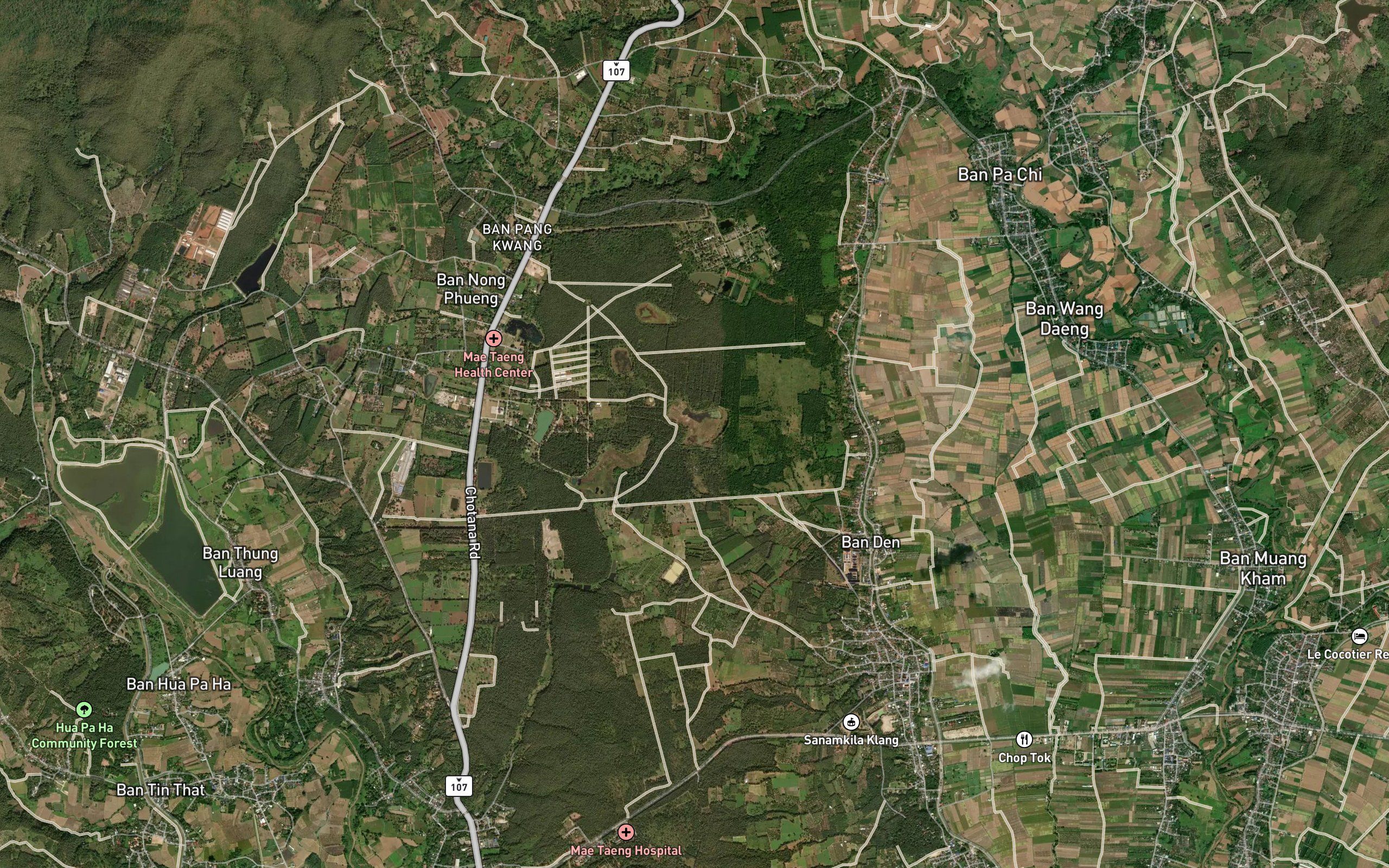 Nong Pa Bua