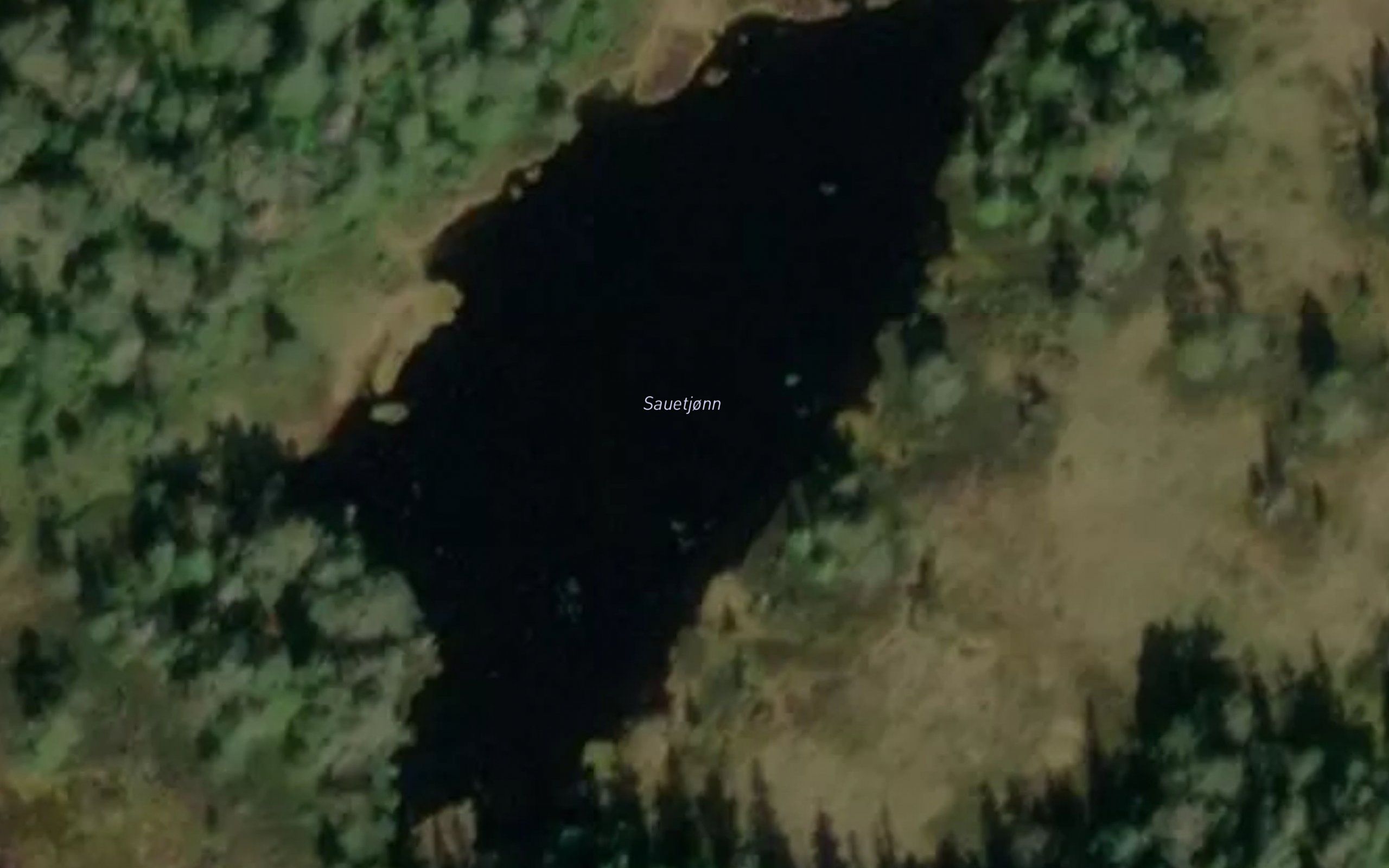 Sauetjorn