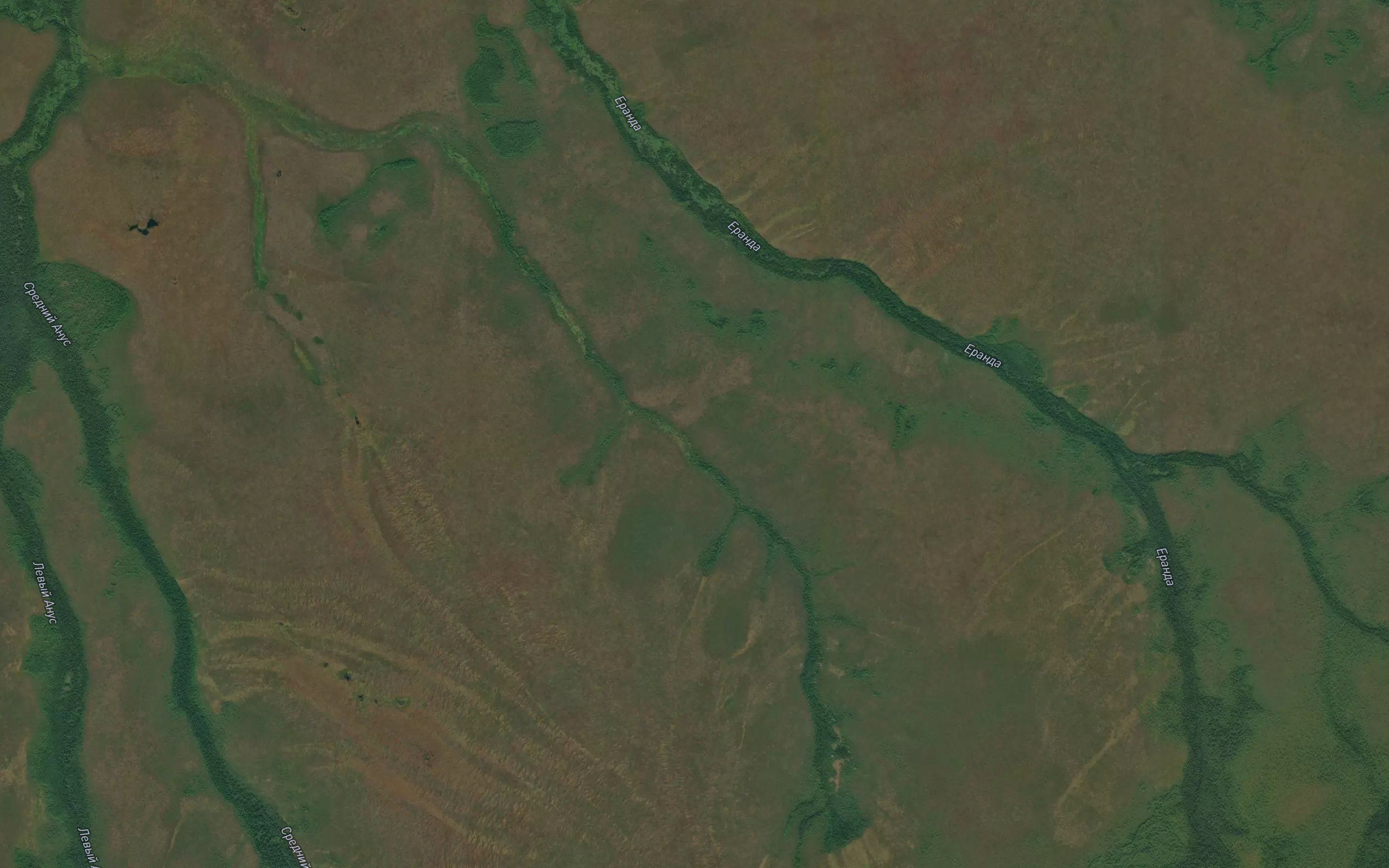 Dzhapki