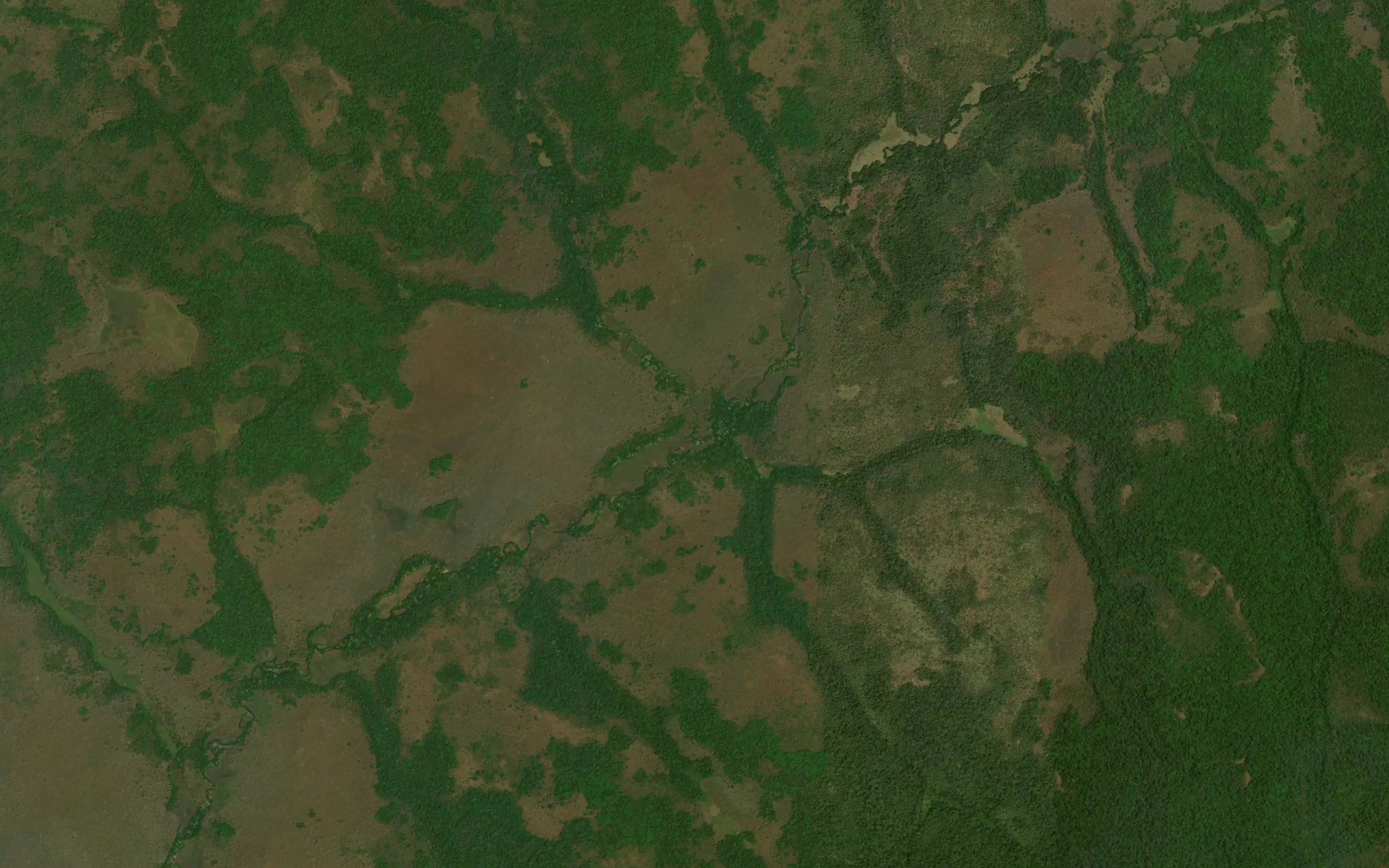 Nazangali
