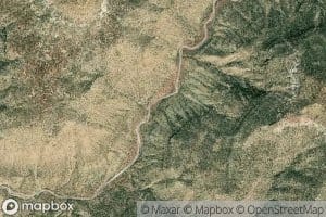 Cow Spring