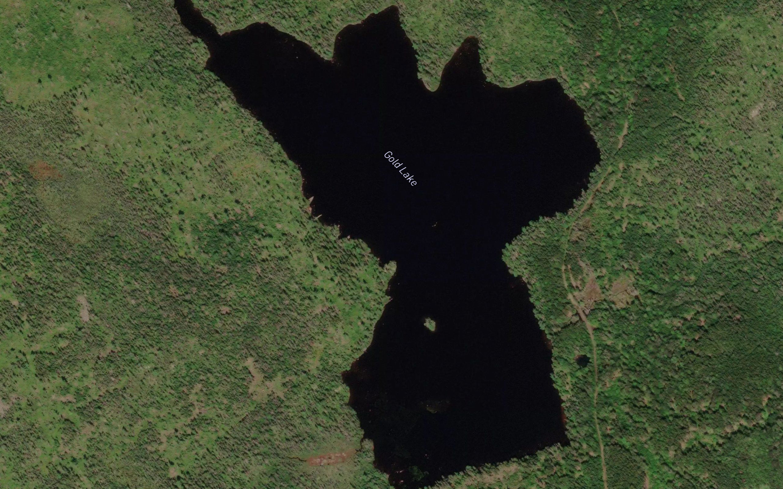 Gold Lake