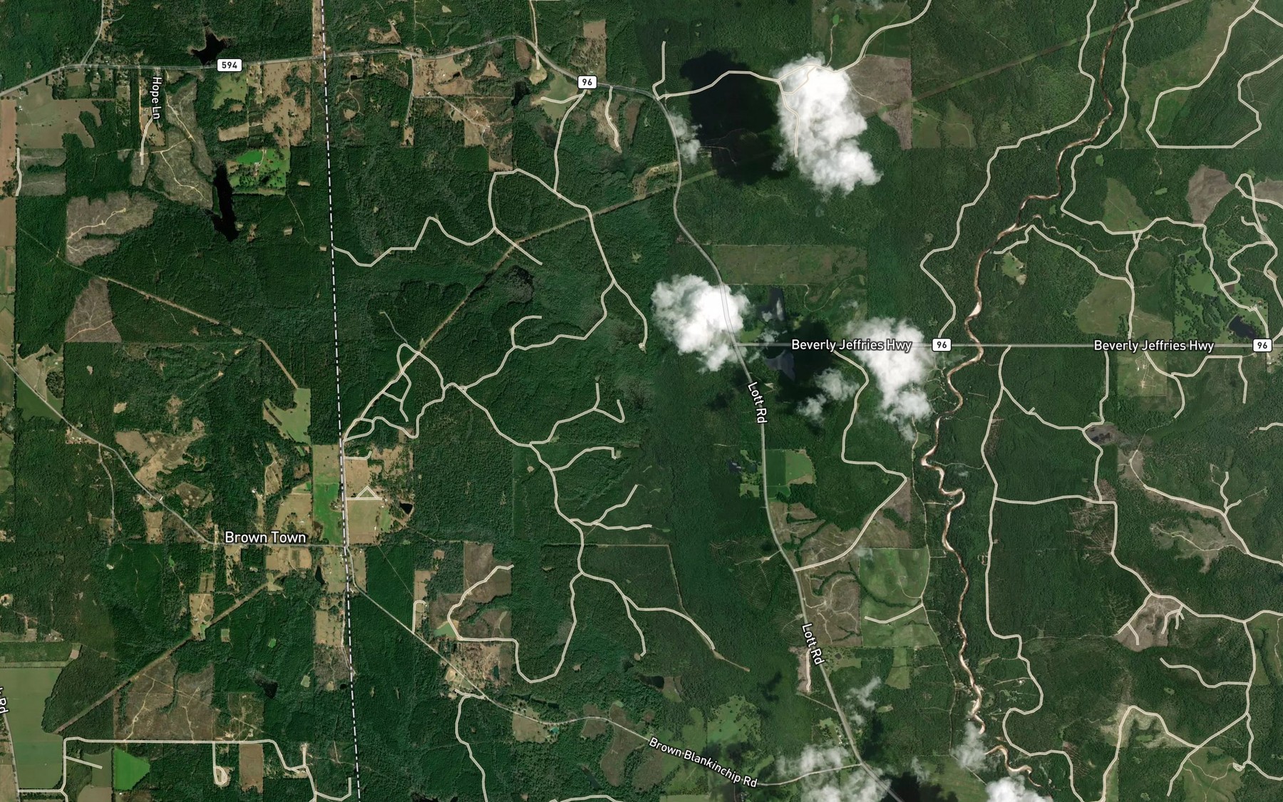 Satellite map of the Lott Branch