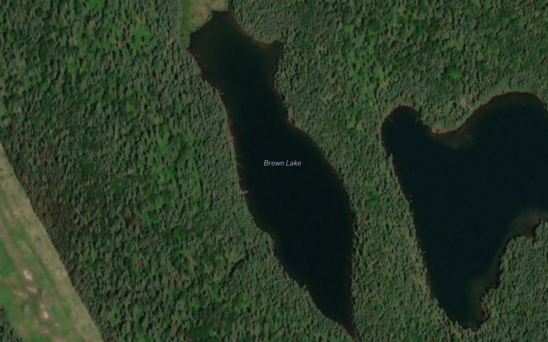 Satellite map of the Brown Lake