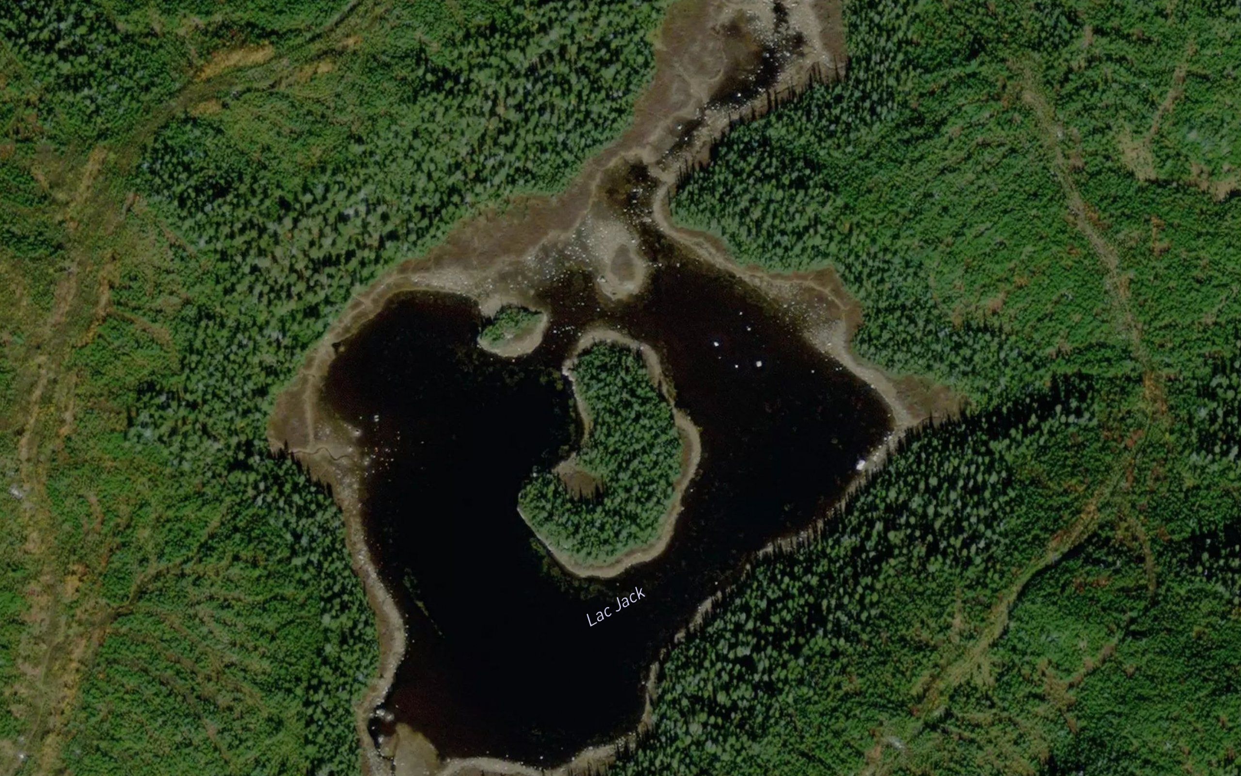 Lac Jack