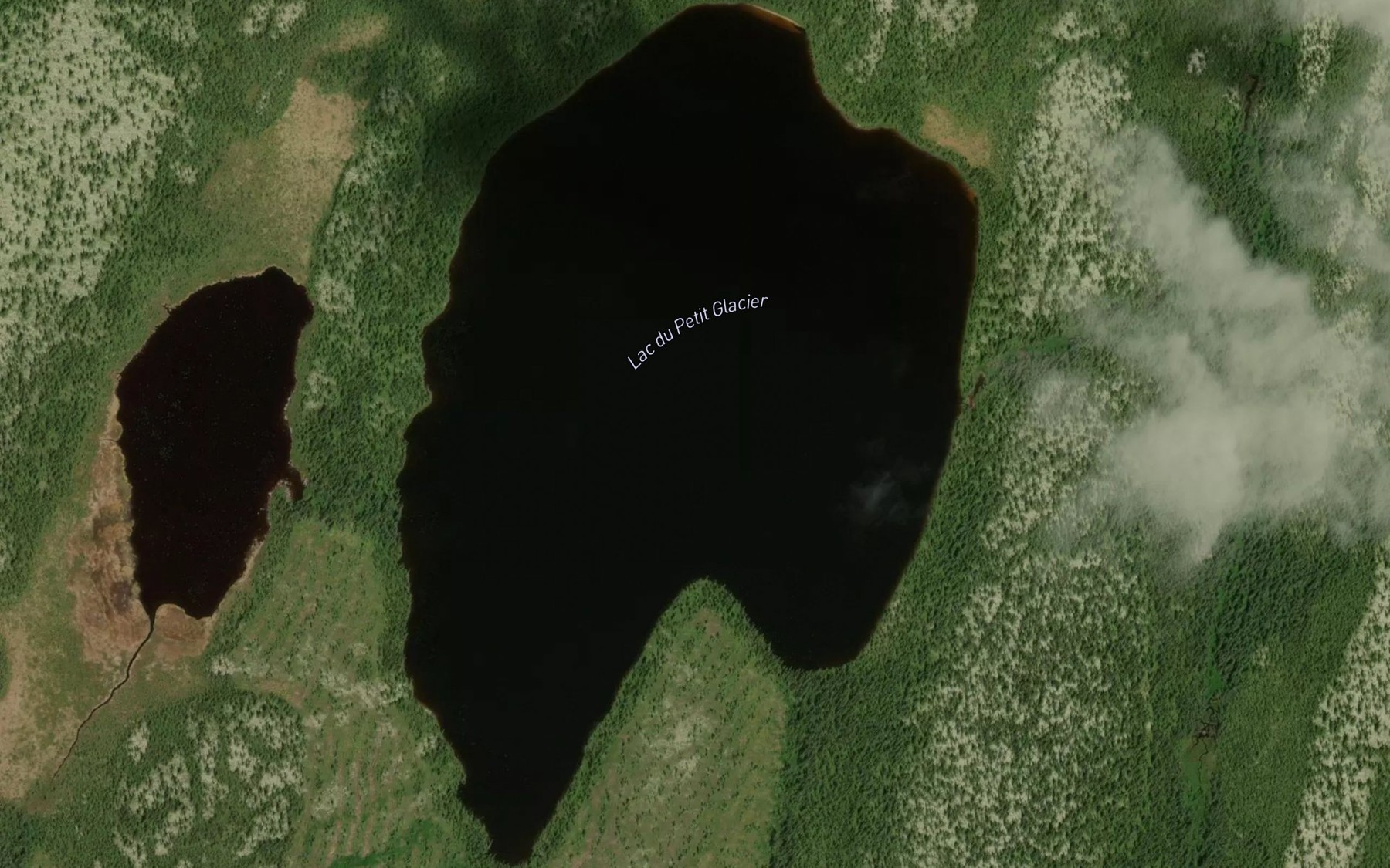 Satellite map of the Lac du Petit Glacier