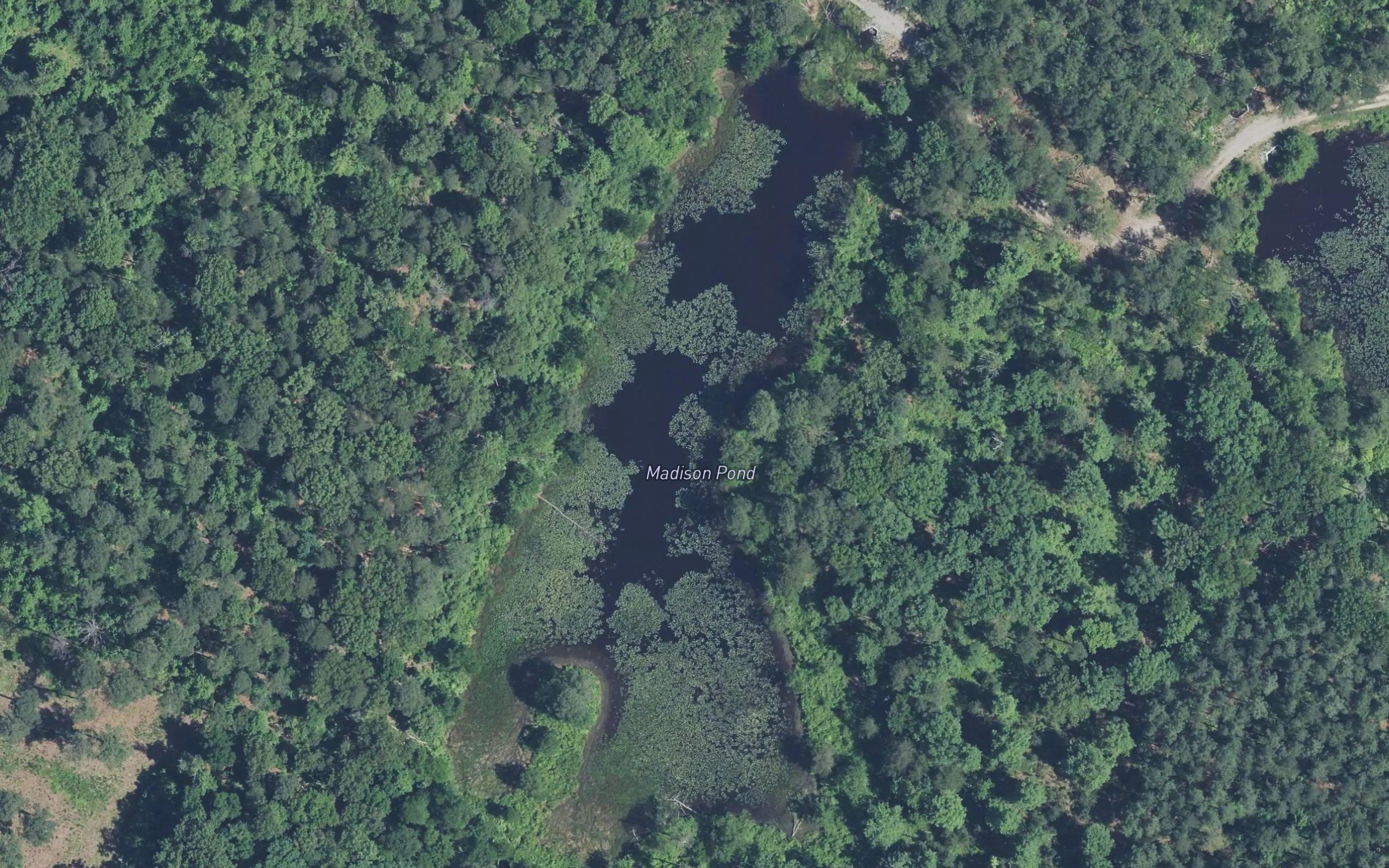 Madison Pond