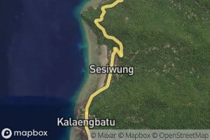 Salu Sesiwung