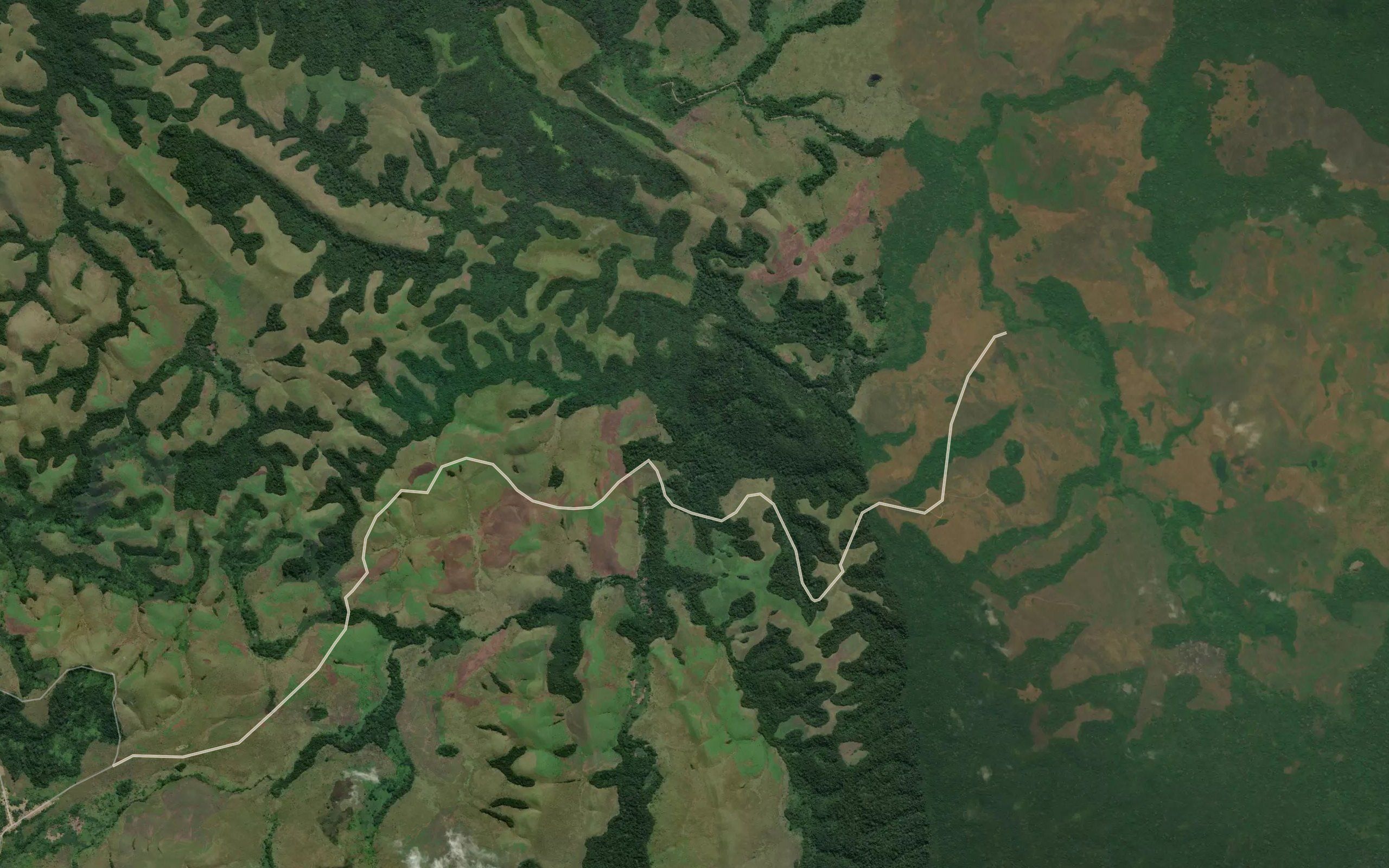 Luama