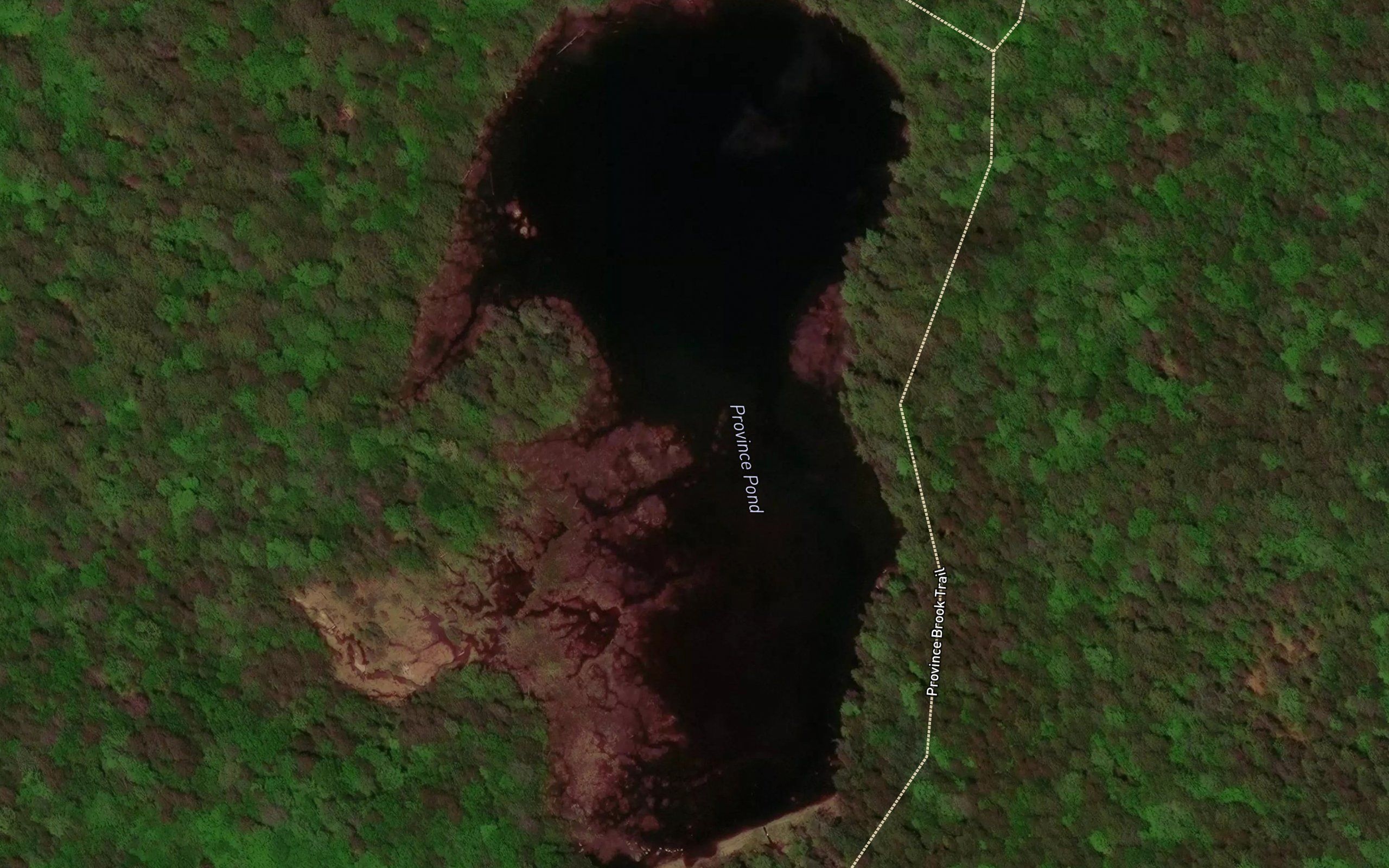 Province Pond