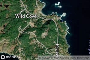 Little Wild Cove