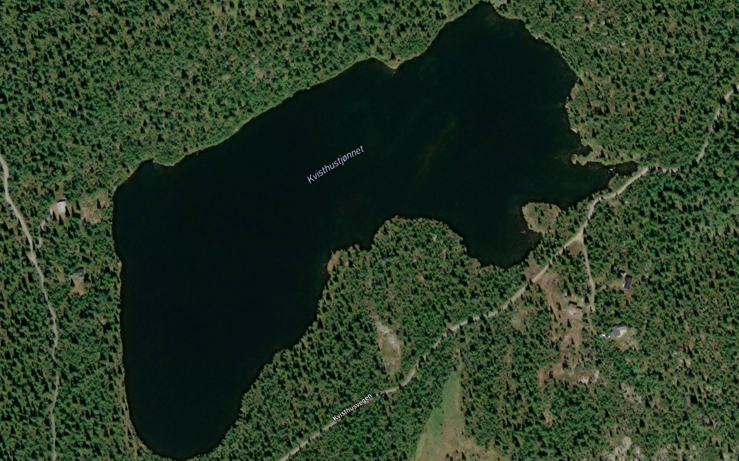 Kvisthustjornet