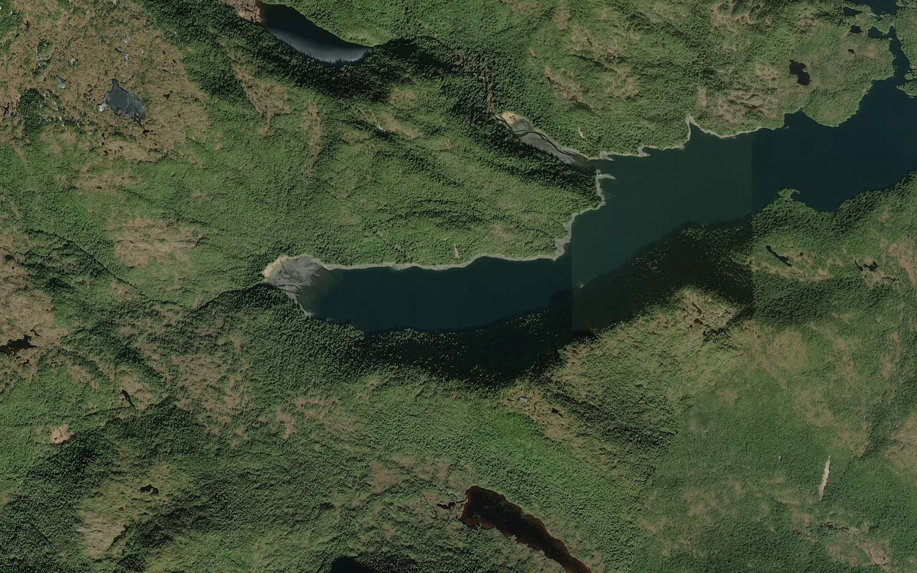 Satellite map of the Frederick Cove