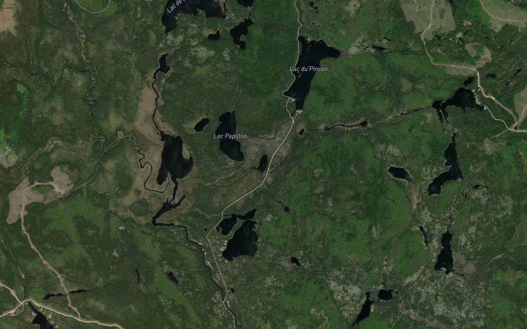 Satellite map of the Lac aux Nenuphars
