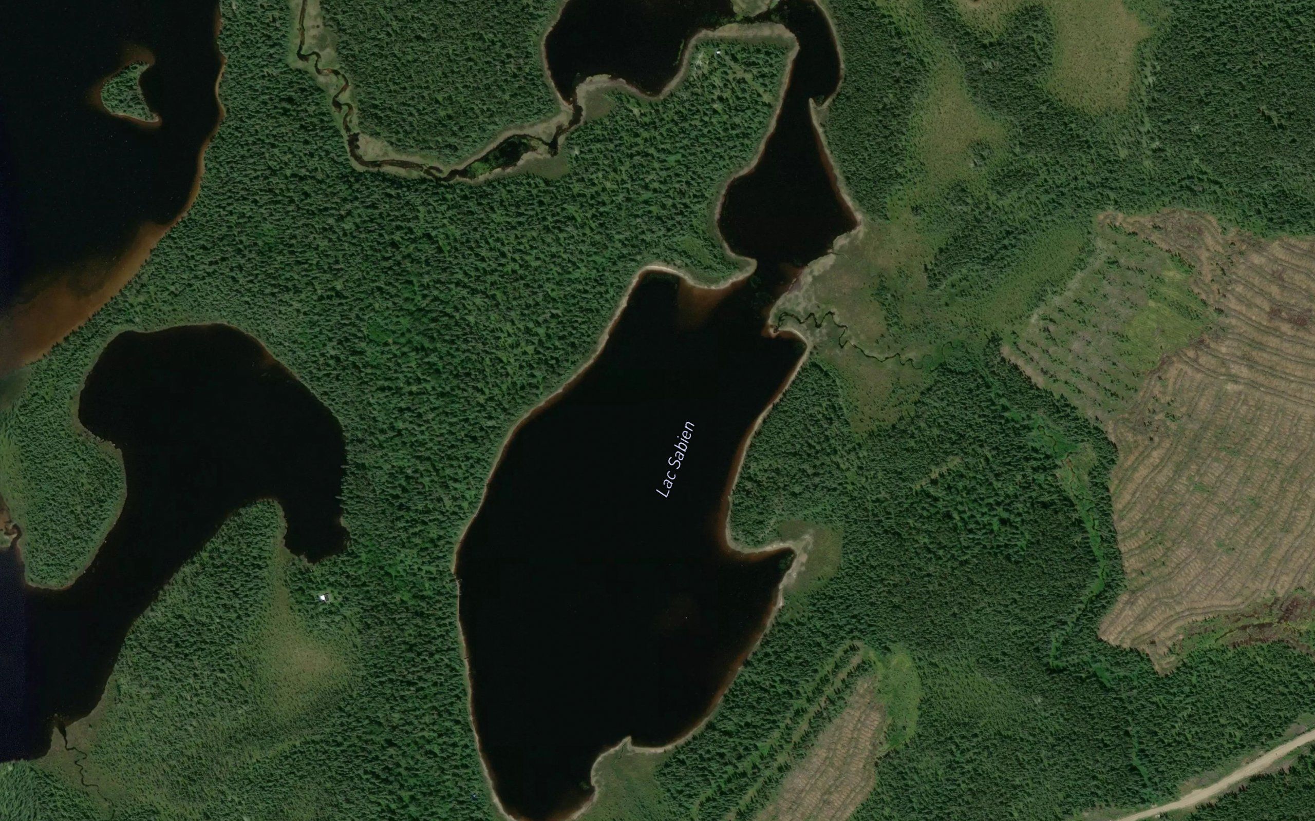 Lac Sabien