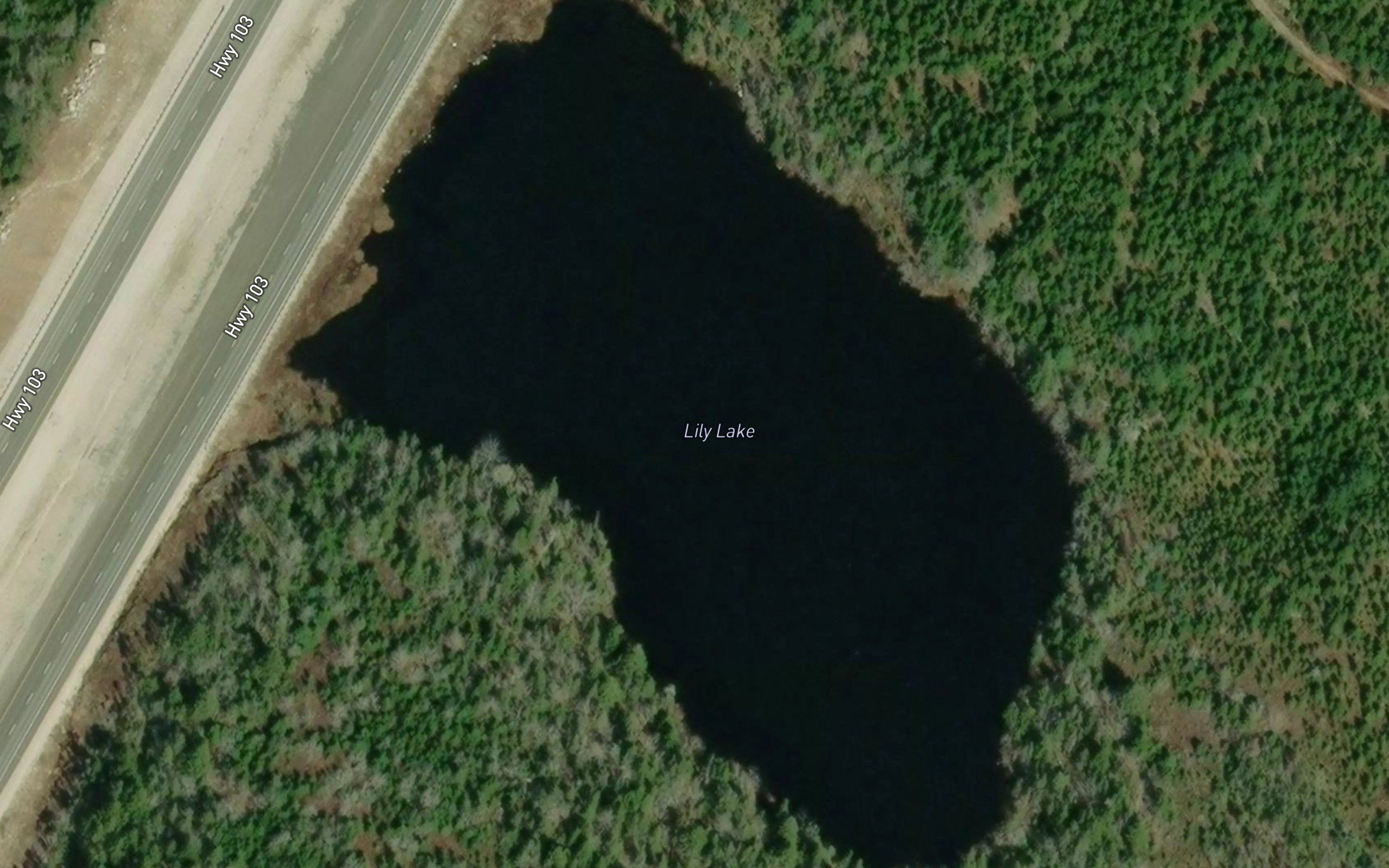 Lily Lake