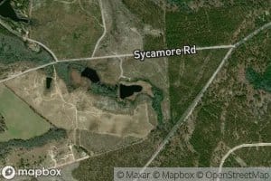 Sycamore Pond