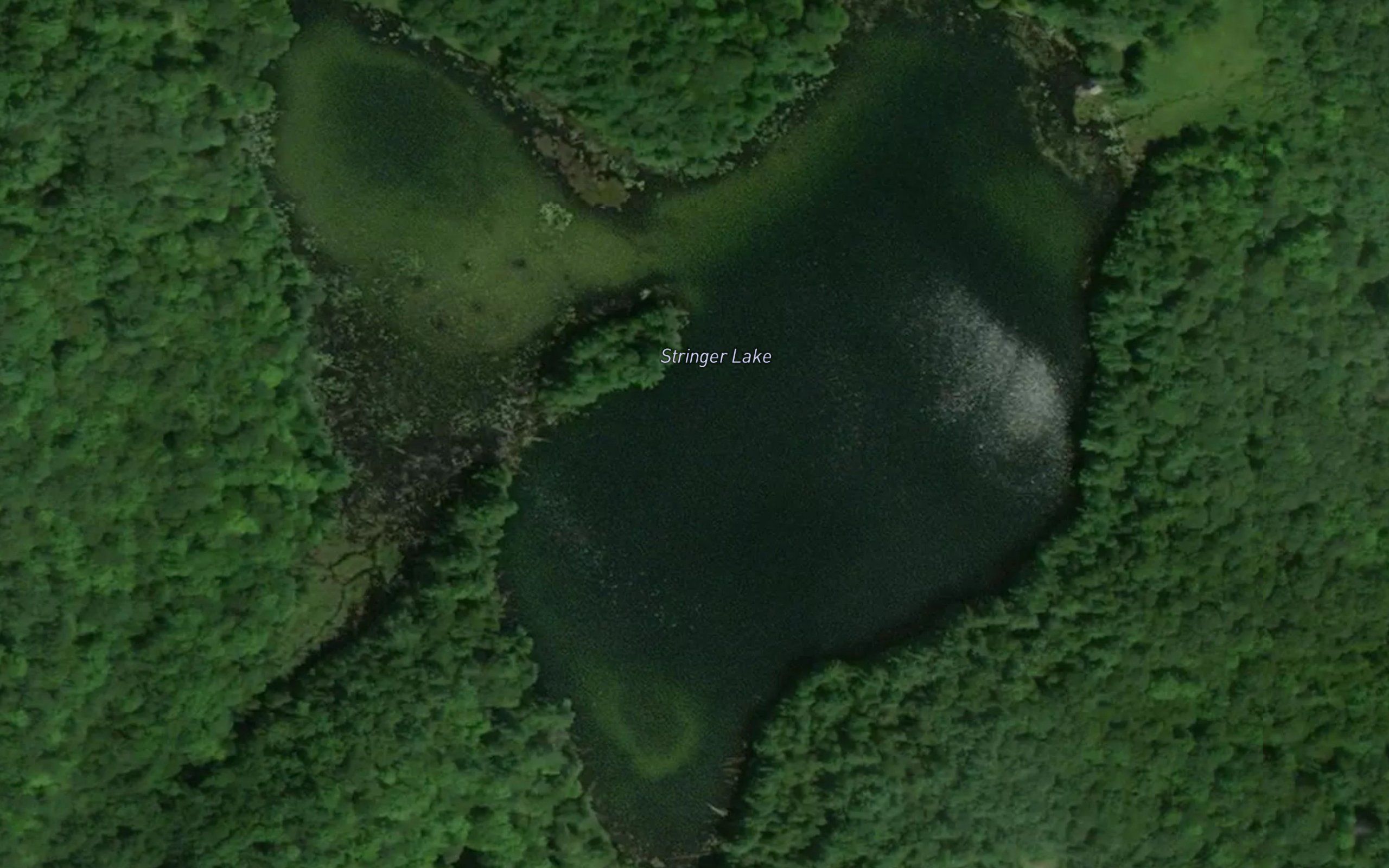 Stringer Lake