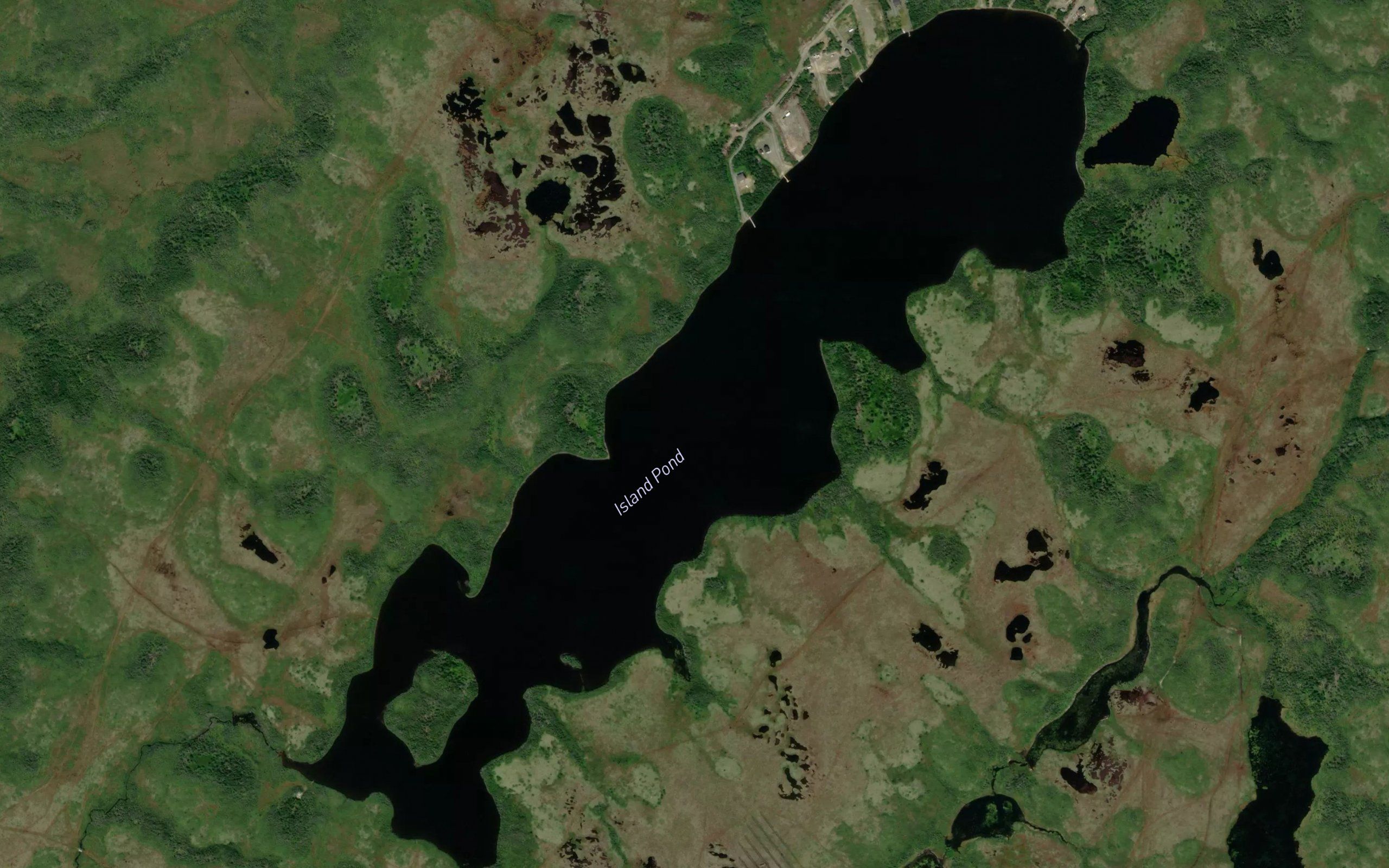 Island Pond