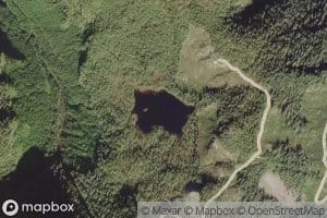 Newt Lake