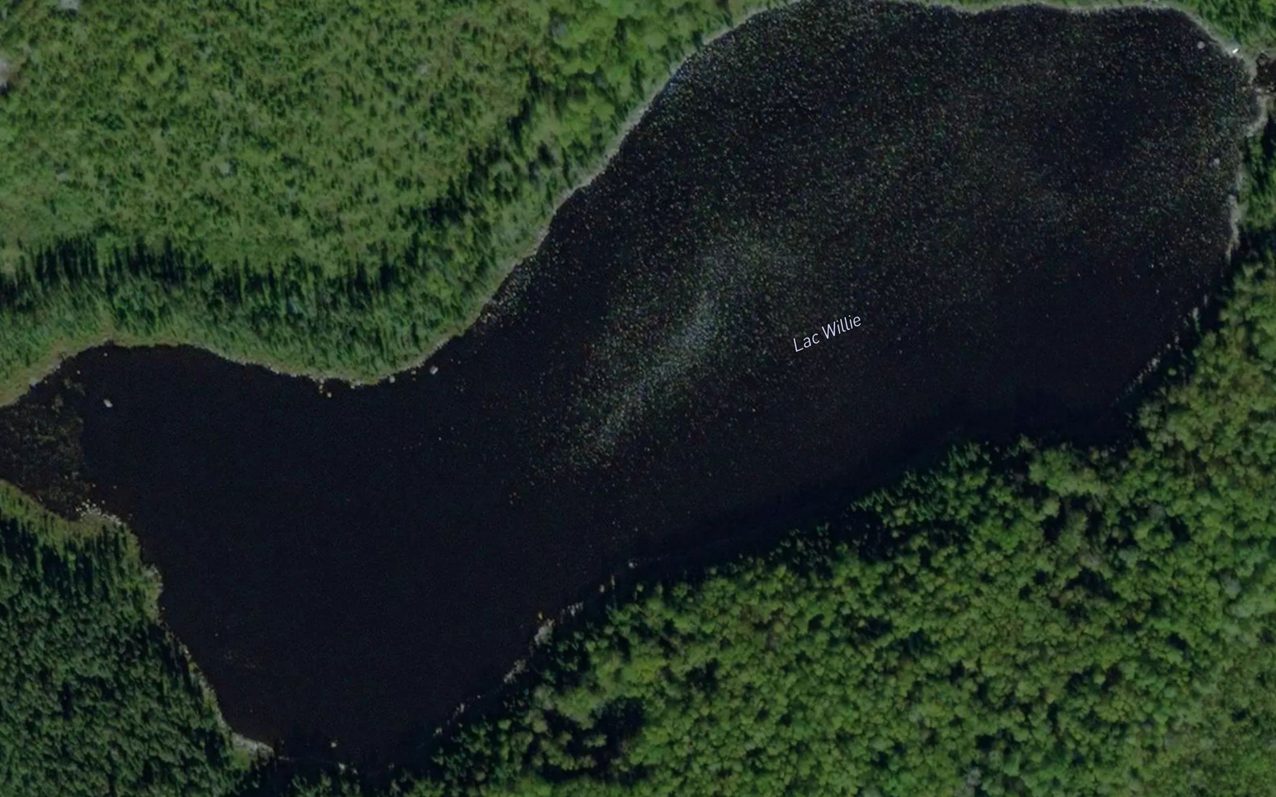 Lac Willie