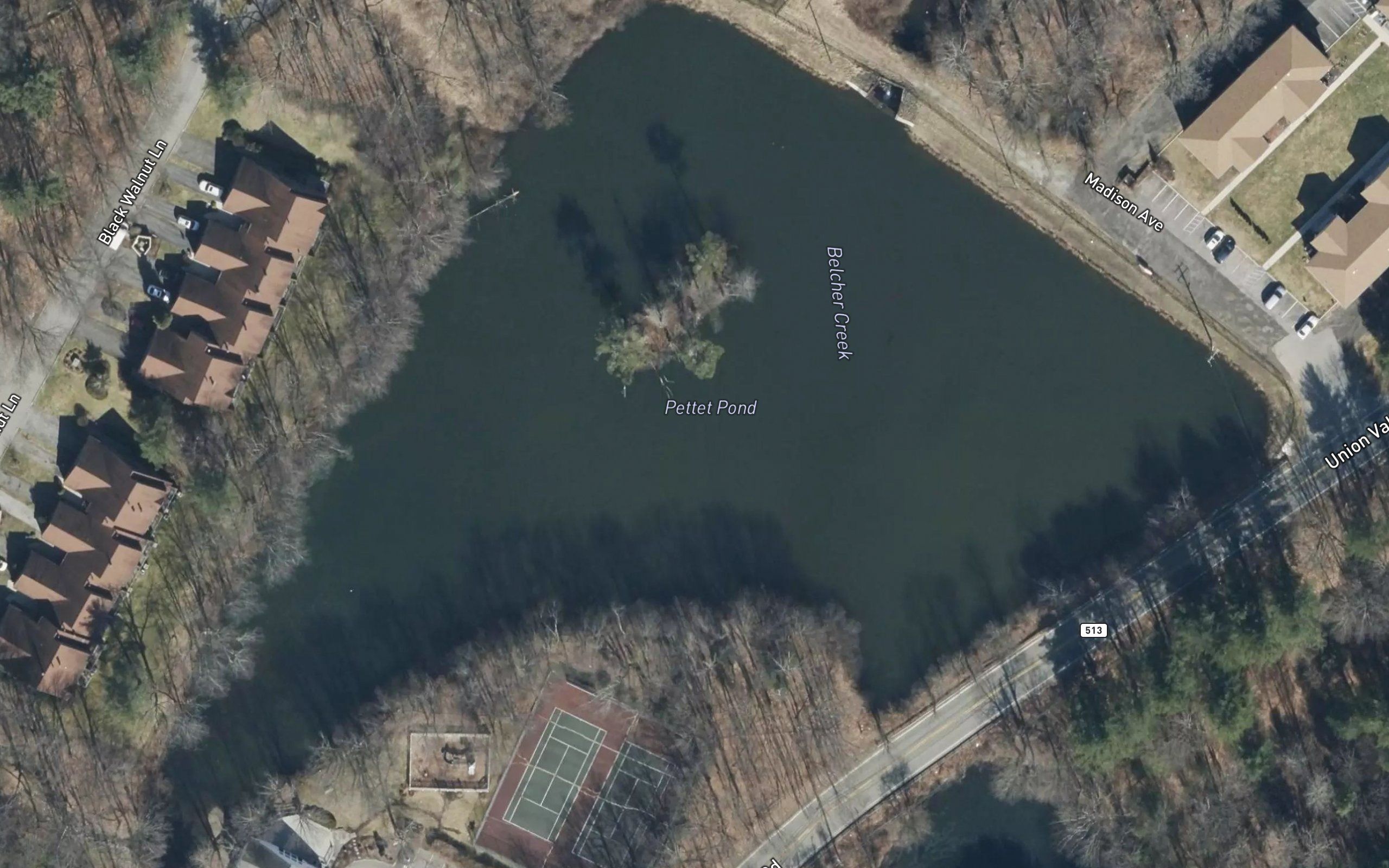Pettet Pond