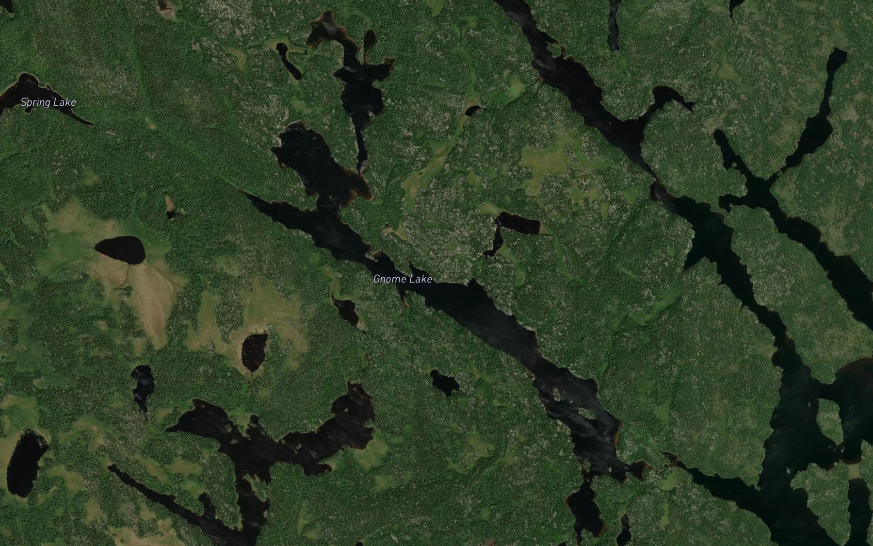 Satellite map of the Gnome Lake