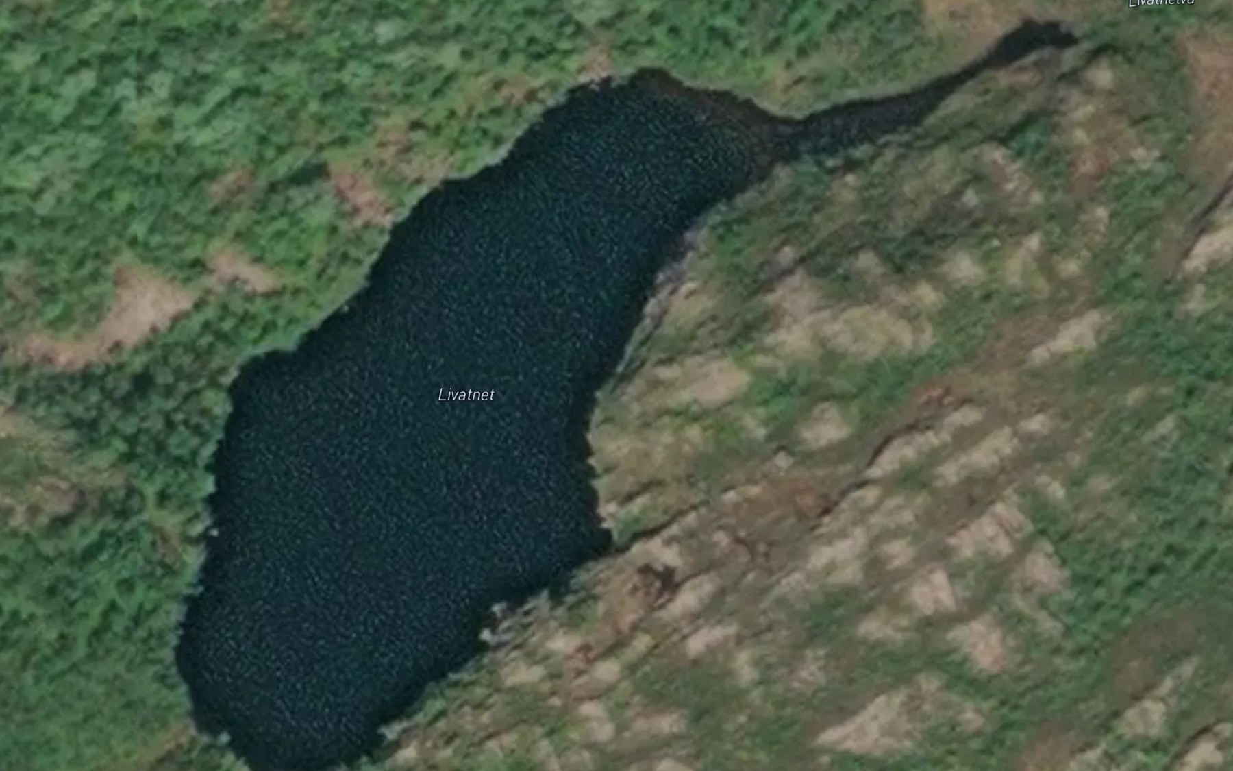 Satellite map of the Livatn