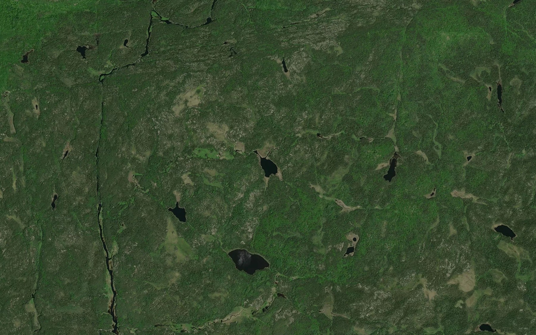 Satellite map of the Bach Lake
