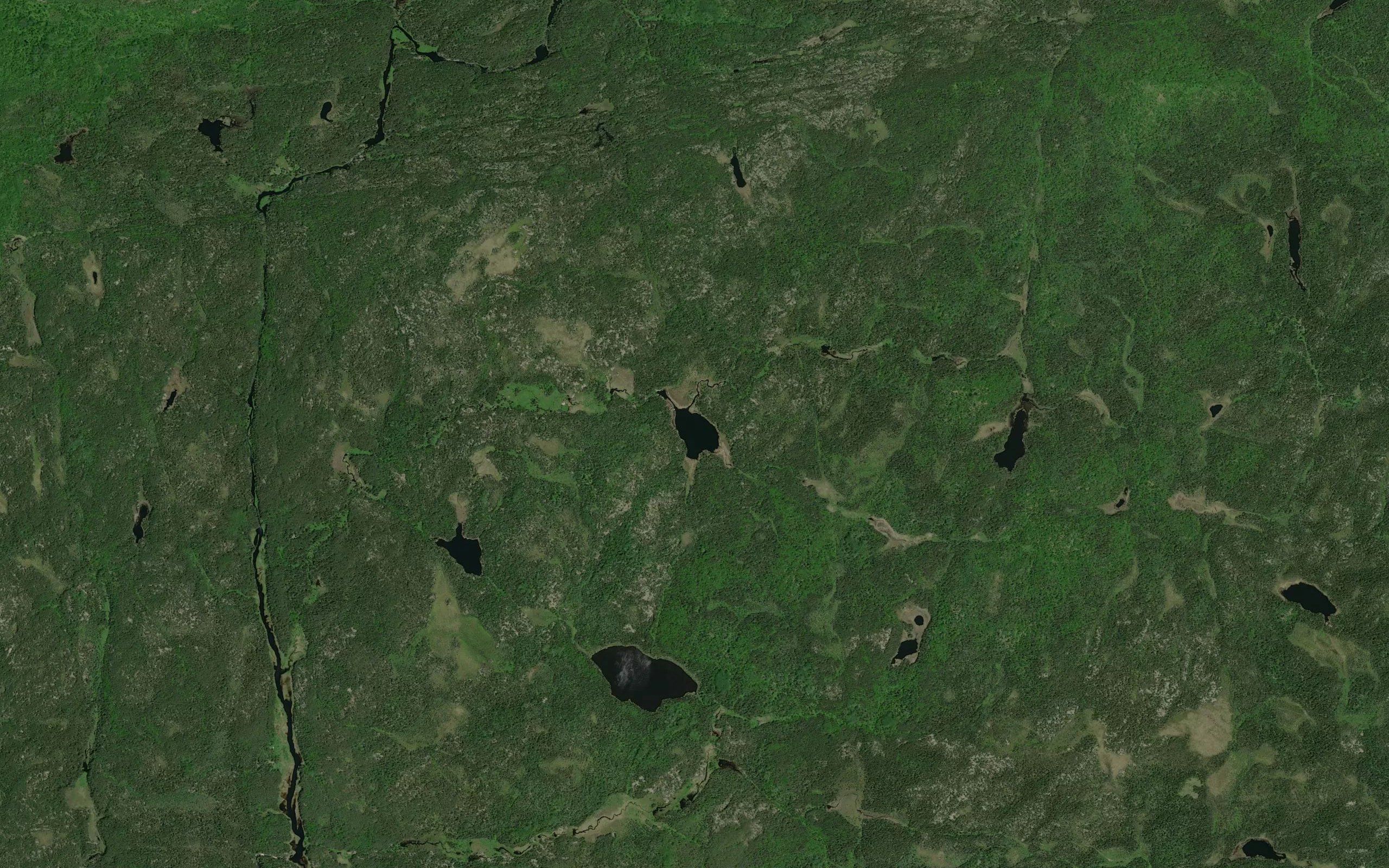 Bach Lake