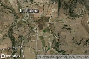 Bordo de Don Maximino