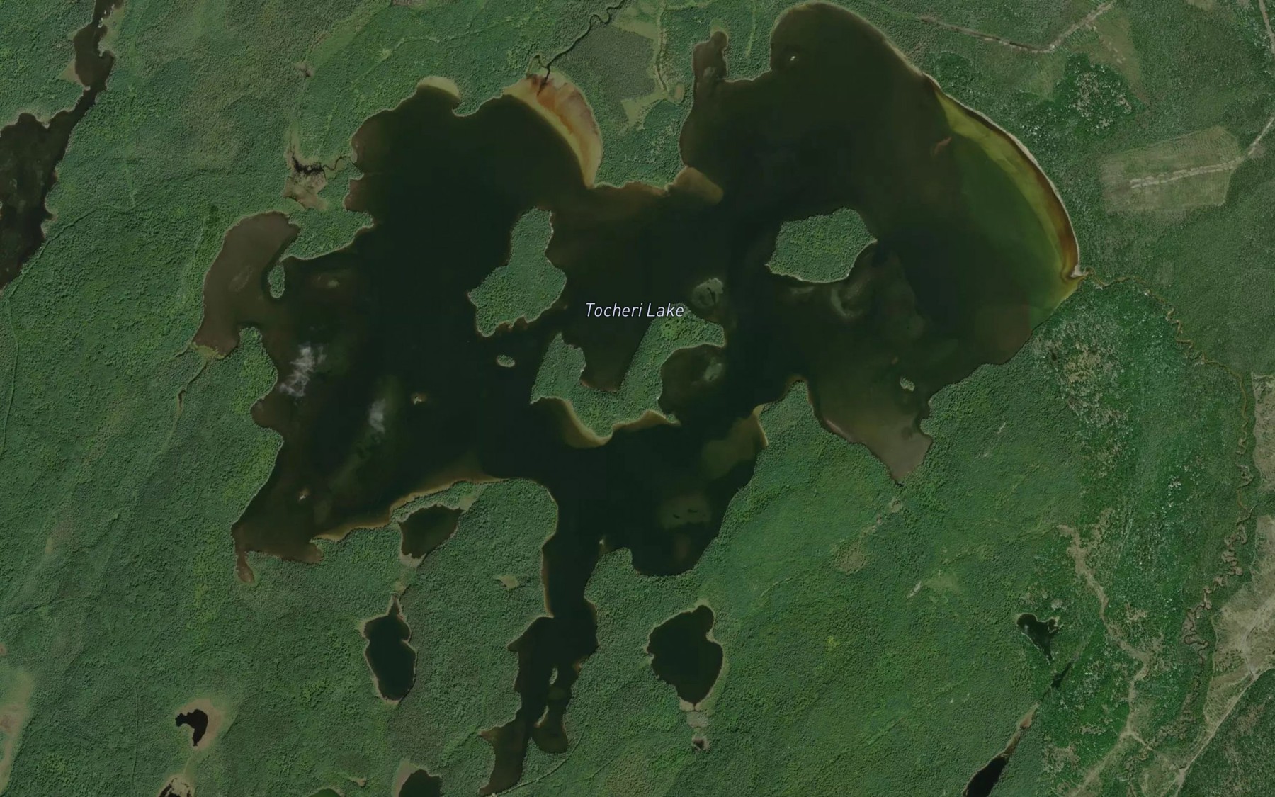 Satellite map of the Tocheri Lake