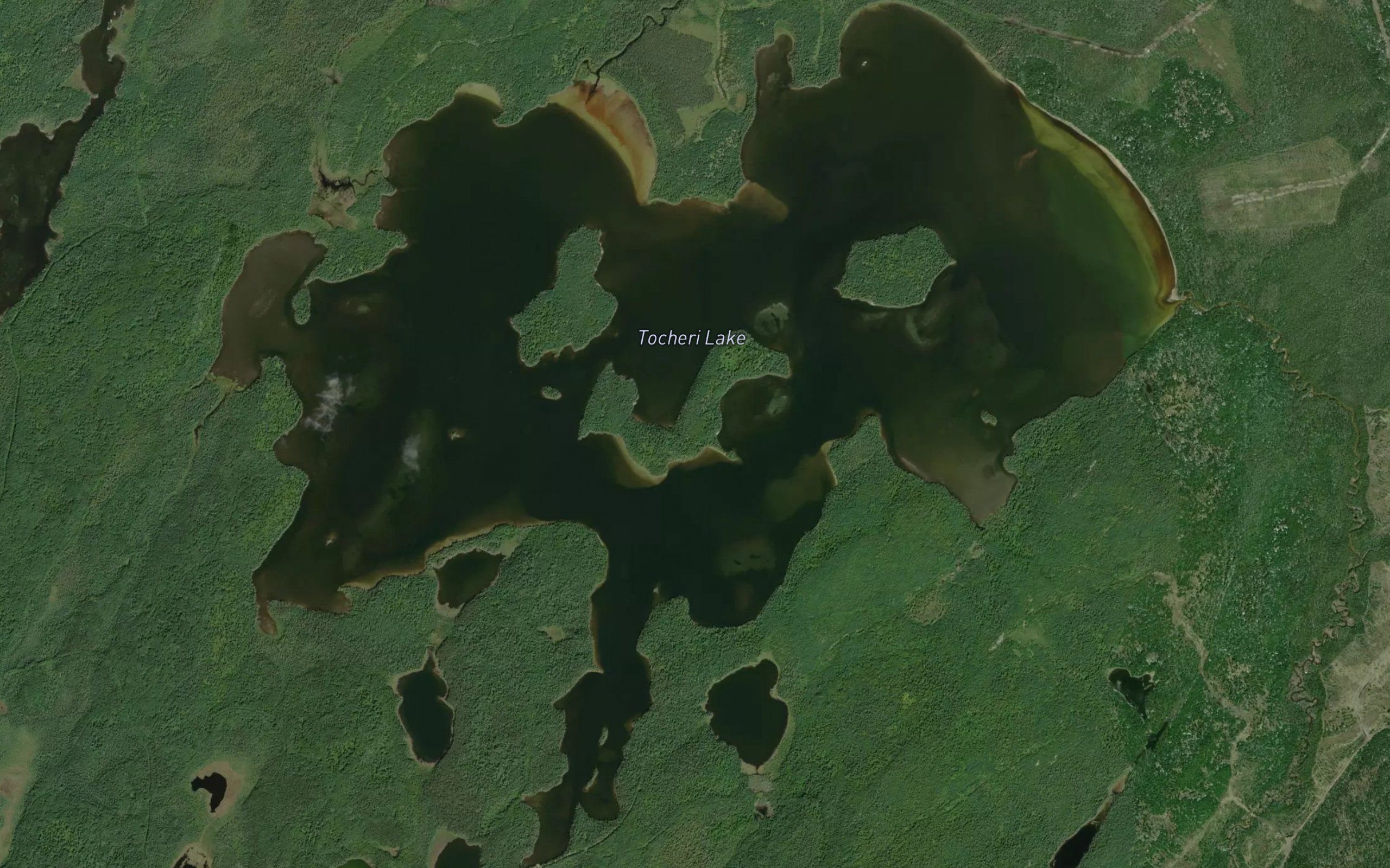 Tocheri Lake