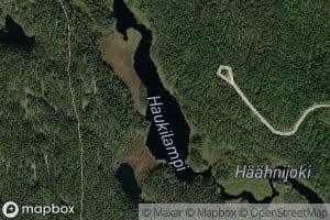 Haukilampi