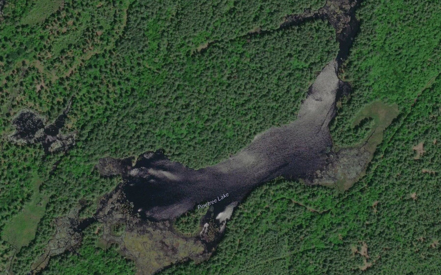 Satellite map of the Pinetree Lake