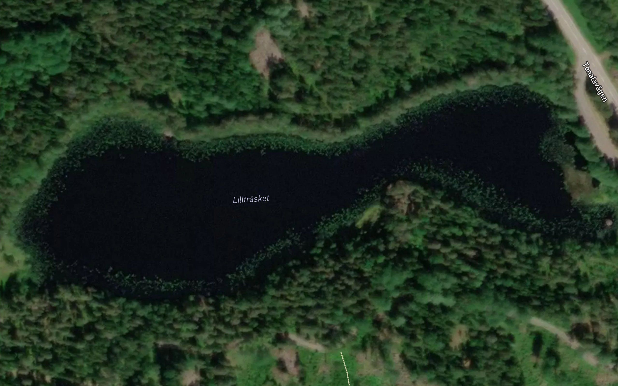 Lilltrasket