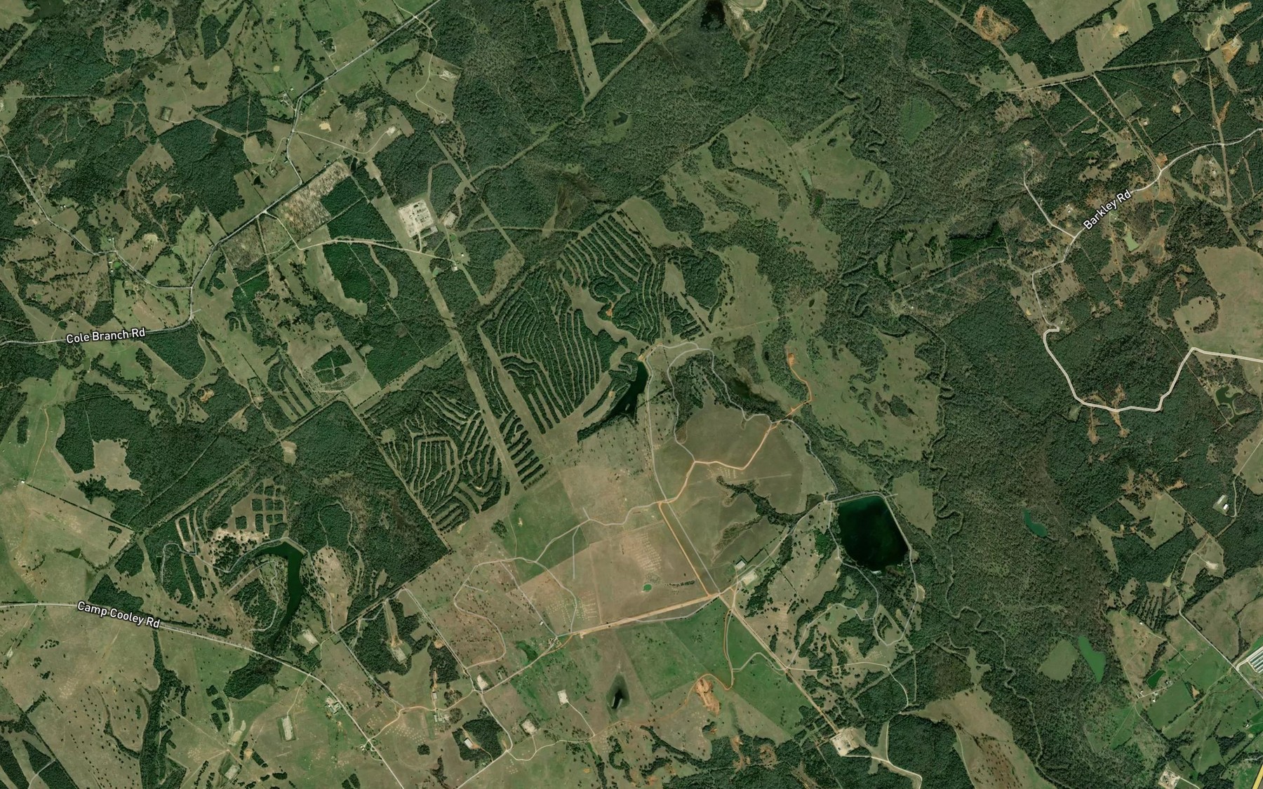 Satellite map of the Wolf Lake