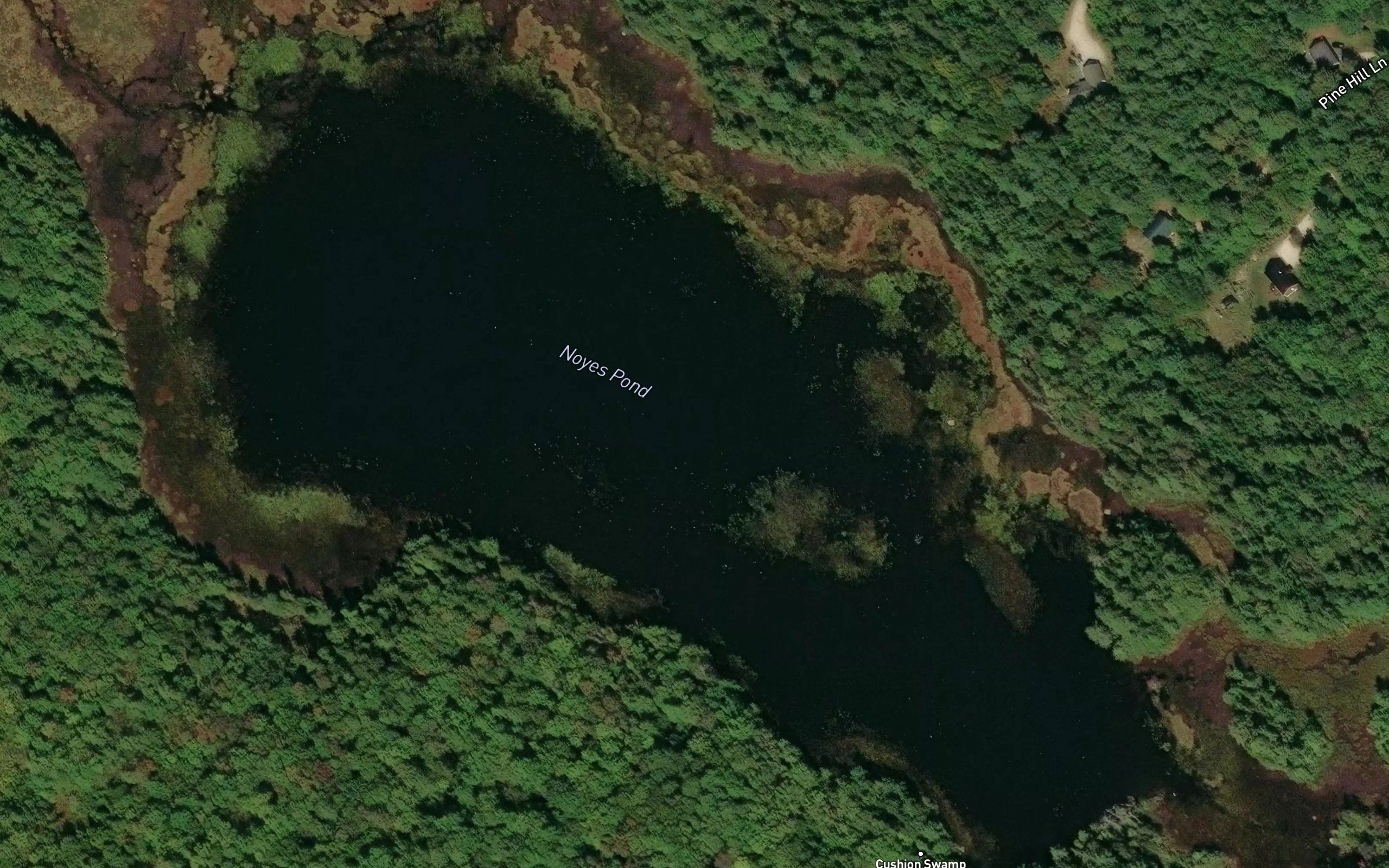 Noyes Pond
