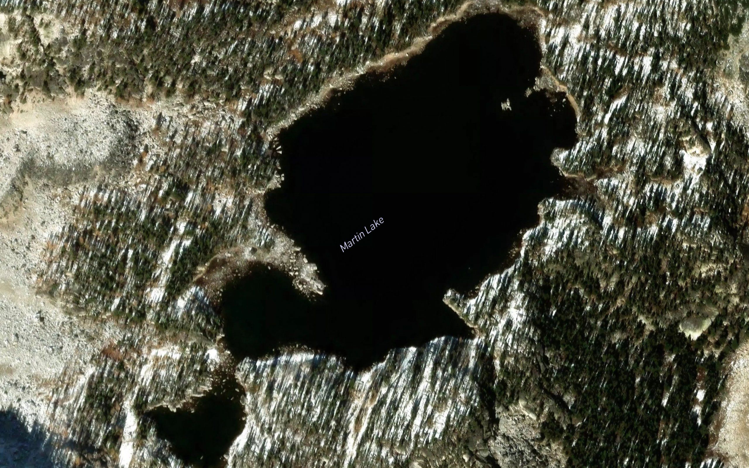 Martin Lake
