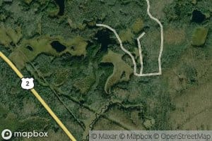 Beaver Pond