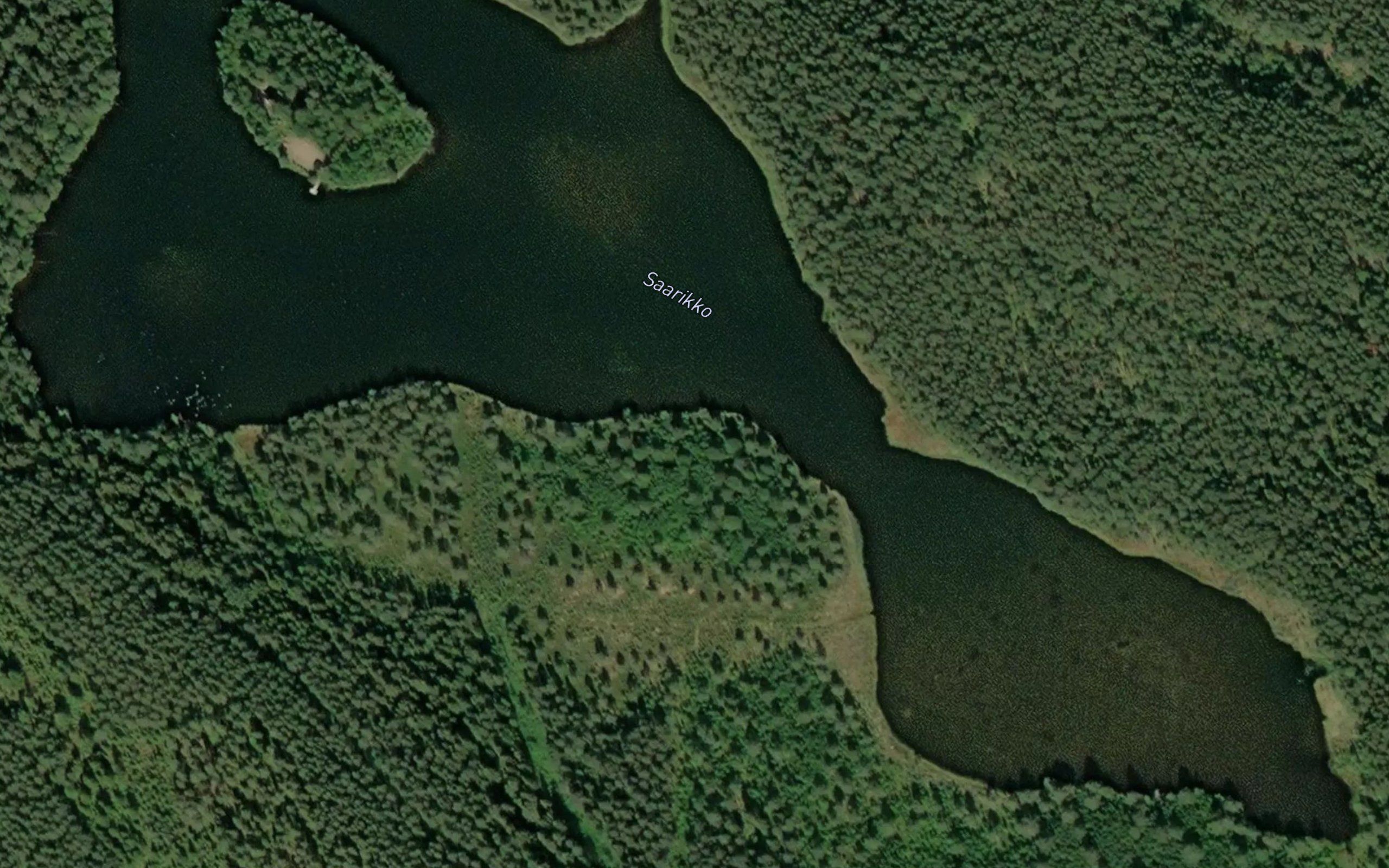 Saarikko