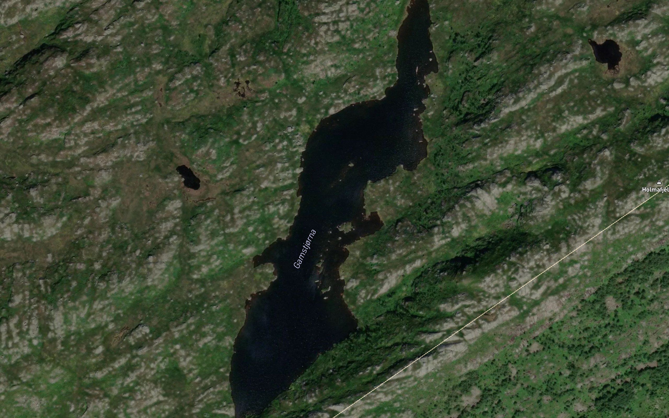 Gamstjorna