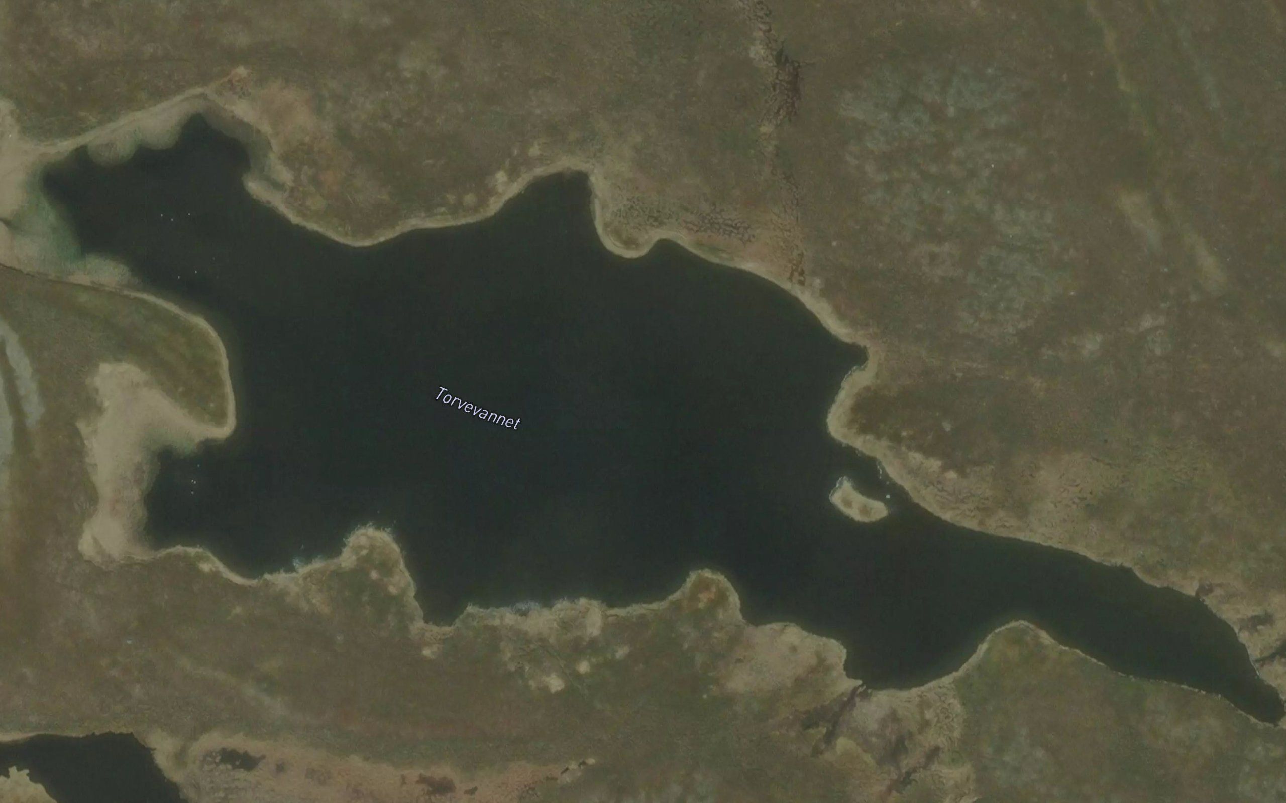 Torvevatnet