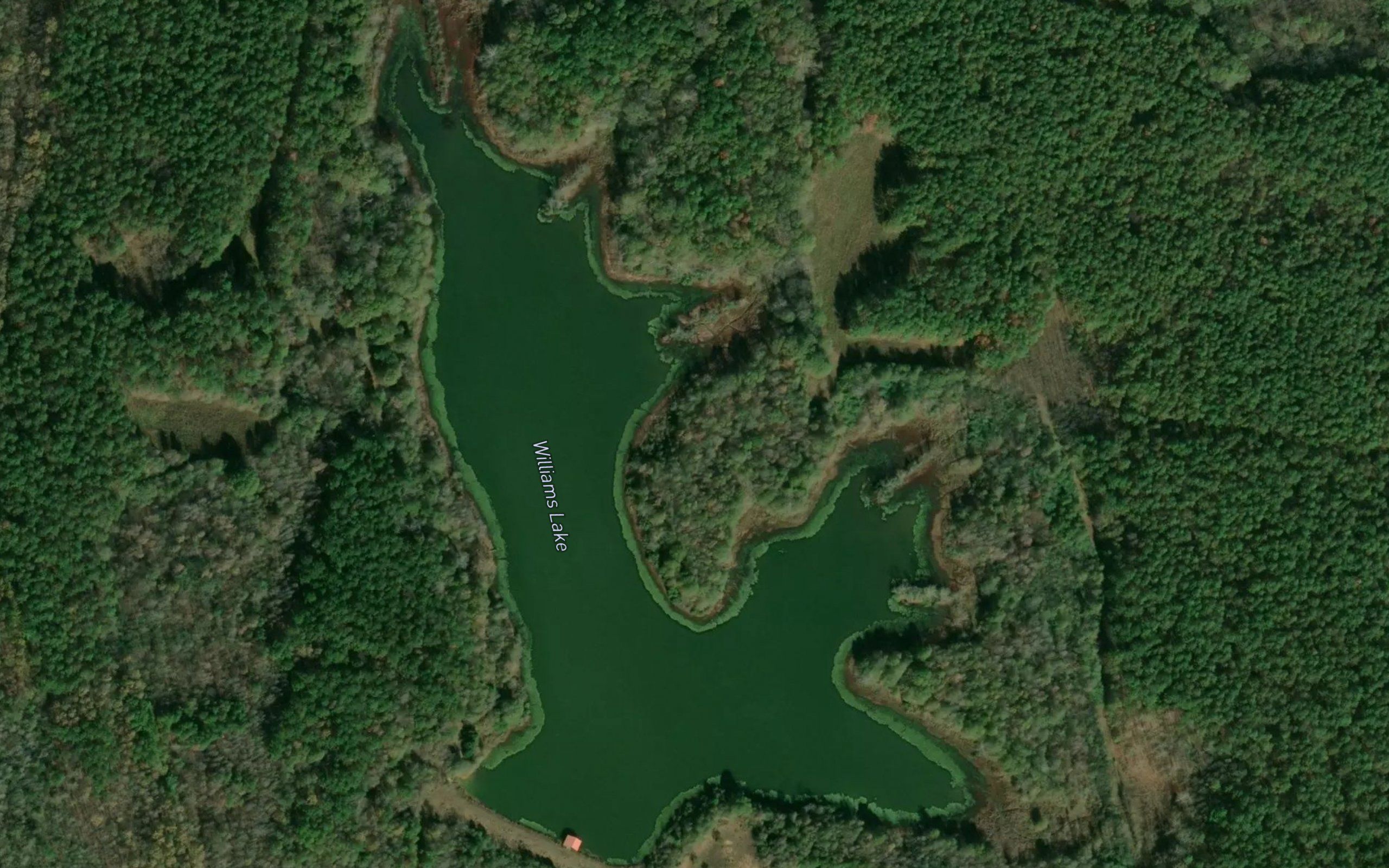 Williams Lake
