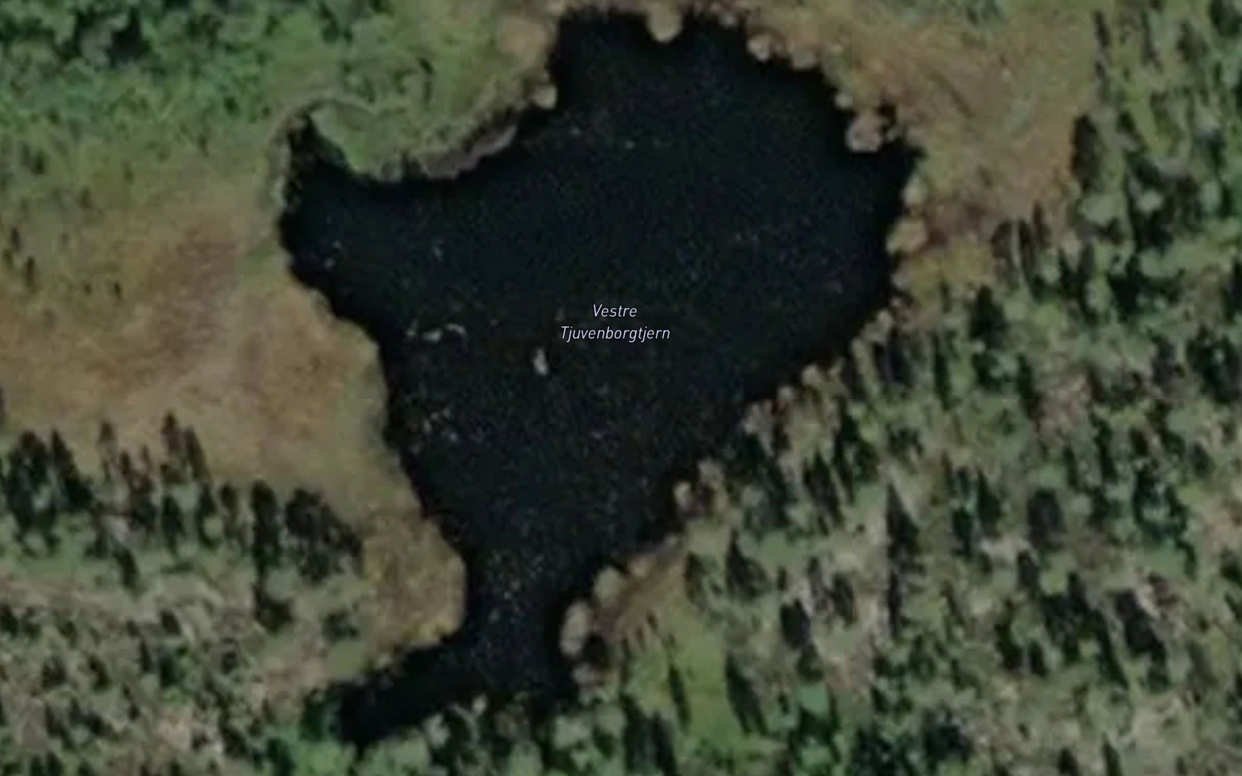 Vestre Tjuvenborgtjern
