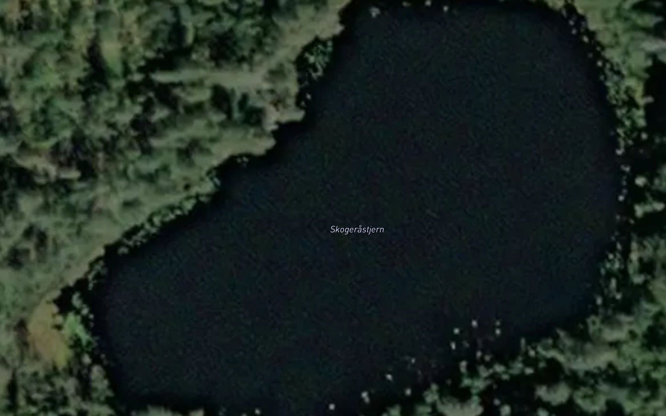 Skogerastjern