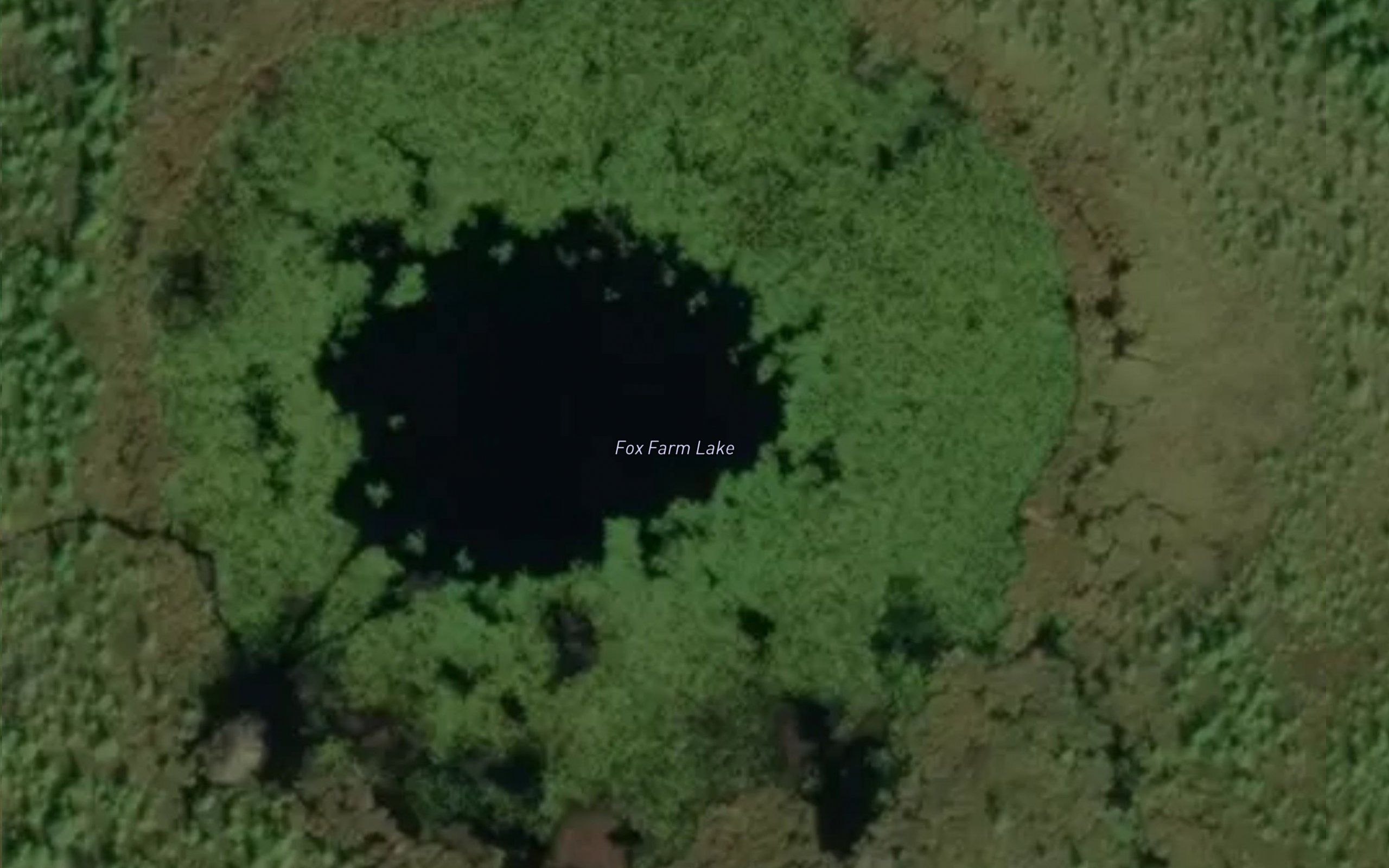 Fox Farm Lake