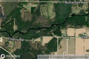 Weed Dam Pond 159