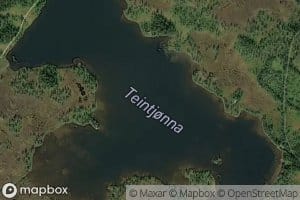 Teintjorna