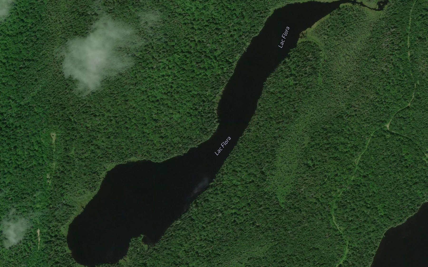 Satellite map of the Lac Flora